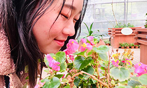 ���Ǵ��������|�����ߺ�������������2019�����Ž�Բ������ 