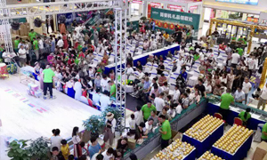 ���̸��� �����ഫ&mdash;���ո���������˶�������ѵԲ����� 