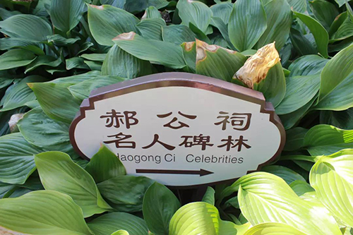 ΢��ͼƬ_20190704100446 ����.JPG